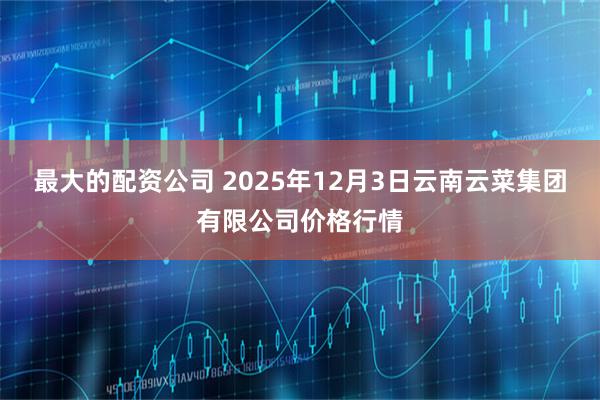 最大的配资公司 2025年12月3日云南云菜集团有限公司价格行情